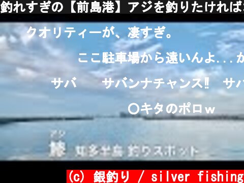 釣れすぎの【前島港】アジを釣りたければココ！サビキに最適・愛知県 知多半島の常滑港から行きましょう！  (c) 銀釣り / silver fishing